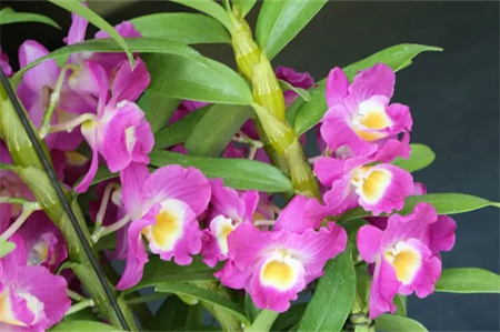 “父愛如山，大愛無聲”——保定理工學院藝術學院開展“恩重如山，感恩父親”主題感恩活動