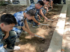 開展種植活動 提高勞動技能