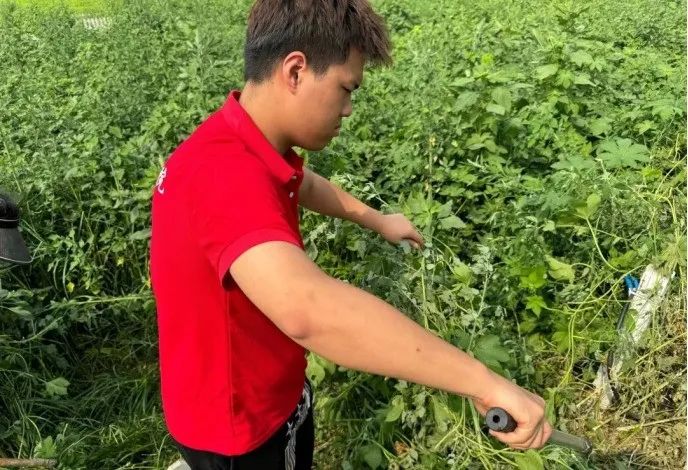 社會實踐（十六）勇擔時代使命，助力興村振興——保定理工學院經濟學院“三下鄉”社會實踐