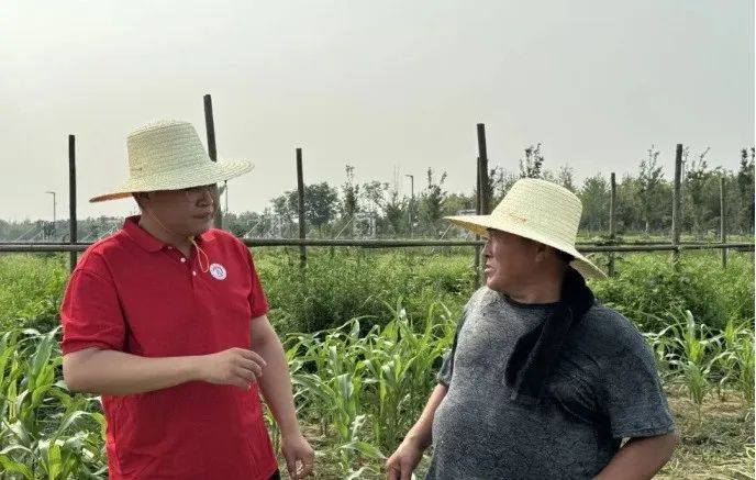 社會實踐（十六）勇擔時代使命，助力興村振興——保定理工學院經濟學院“三下鄉”社會實踐