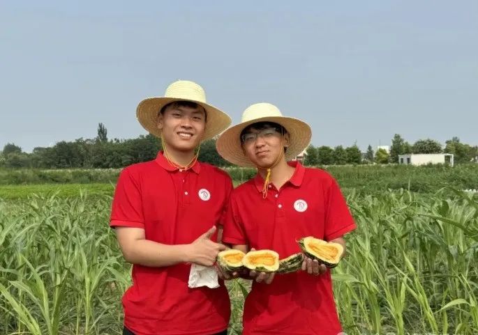 社會實踐（十六）勇擔時代使命，助力興村振興——保定理工學院經濟學院“三下鄉”社會實踐