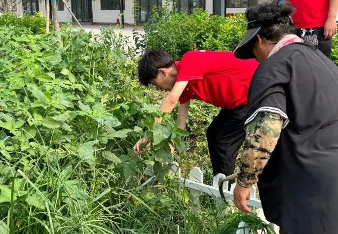 社會實踐（十六）勇擔時代使命，助力興村振興——保定理工學院經濟學院“三下鄉”社會實踐