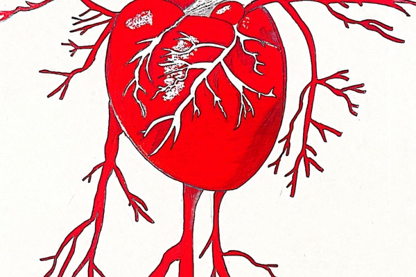 保定理工學院康復醫學院“生命密碼?——?解碼人體中的紅色基因”繪圖大賽優秀作品展示