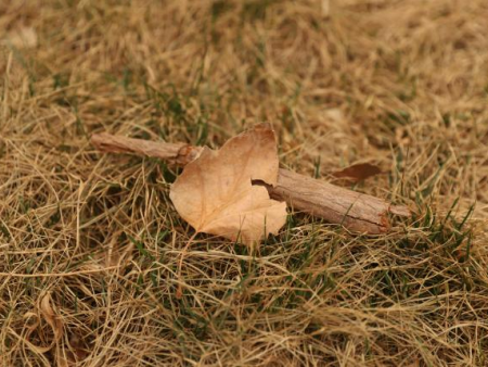 光影交織 逐夢(mèng)影像 基礎(chǔ)攝影綜合實(shí)驗(yàn)項(xiàng)目順利開(kāi)展