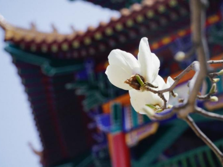 光影交織 逐夢(mèng)影像 基礎(chǔ)攝影綜合實(shí)驗(yàn)項(xiàng)目順利開(kāi)展