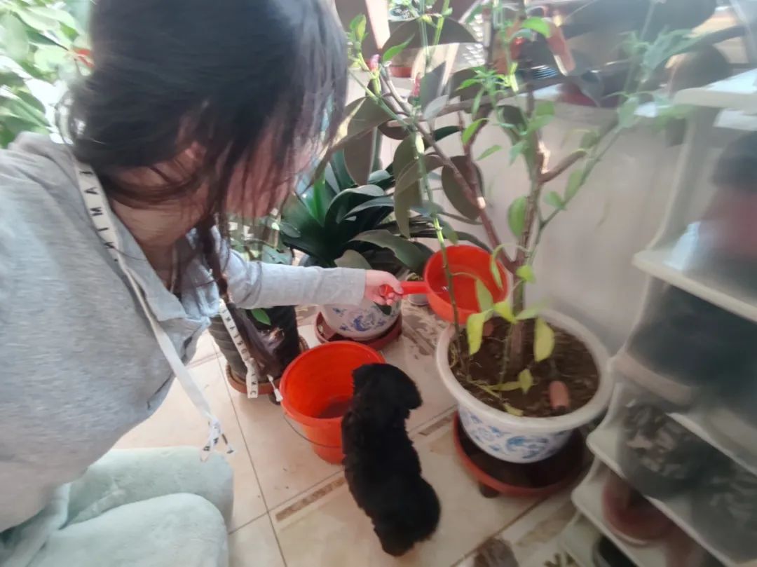 寸草春暉，情暖桑榆（七）