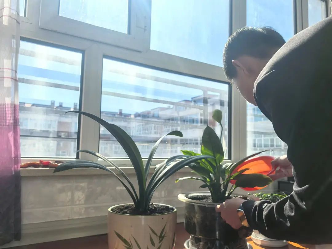 寸草春暉，情暖桑榆（五）