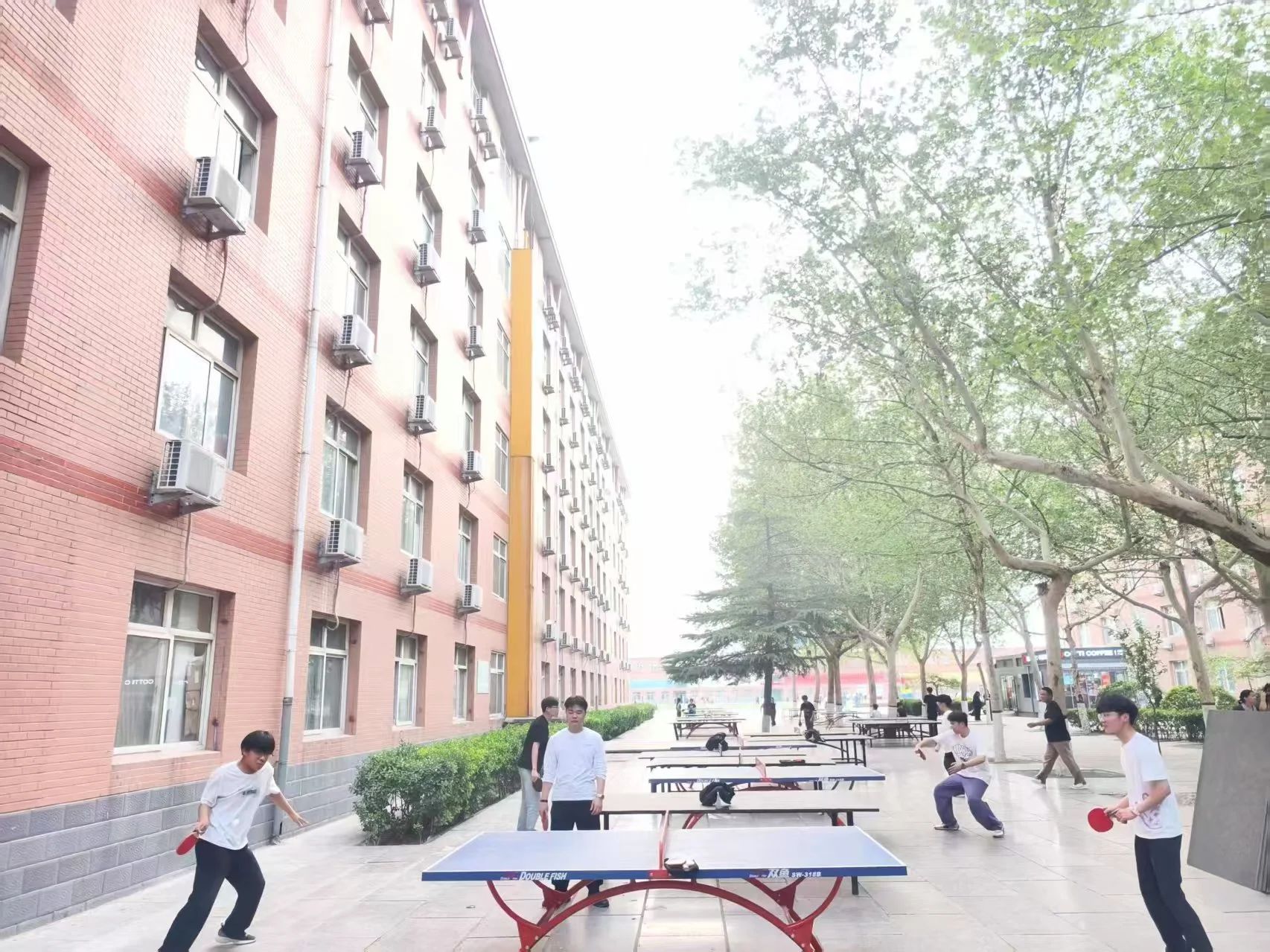 陽光體育展風采，活力校園向未來