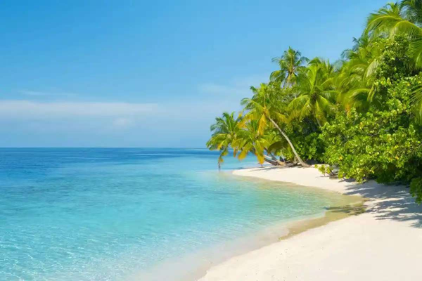 寒假過半|保定理工學(xué)院|管理學(xué)院|寒假苦學(xué)添才智，新春奮進鑄輝煌