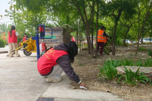 綠蔭清掃護家園 青春志愿暖東莊——經濟學院志愿者赴東小莊村進行志愿服務清掃活動