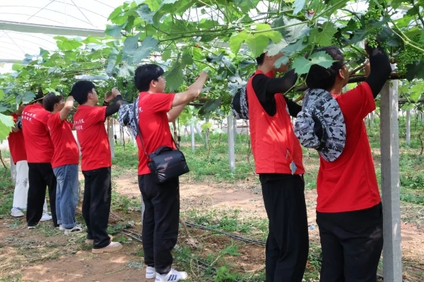 勞動礪心智，實踐育新人——經濟學院走進盛堯都市生態農場，開展勞動教育實踐活動