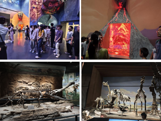 實踐賦能成長 歷練成就蛻變 ——我院師生赴保定自然博物館開展綜合地質(zhì)學(xué)實習(xí)