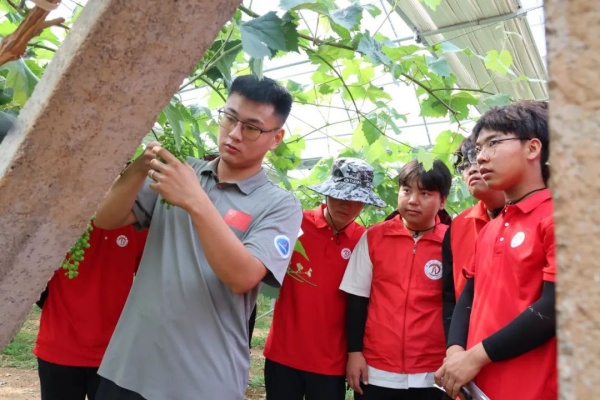 【青春聚力，實踐礪行】勞動礪心智，實踐育新人——經濟學院走進盛堯都市生態農場，開展勞動教育實踐活動