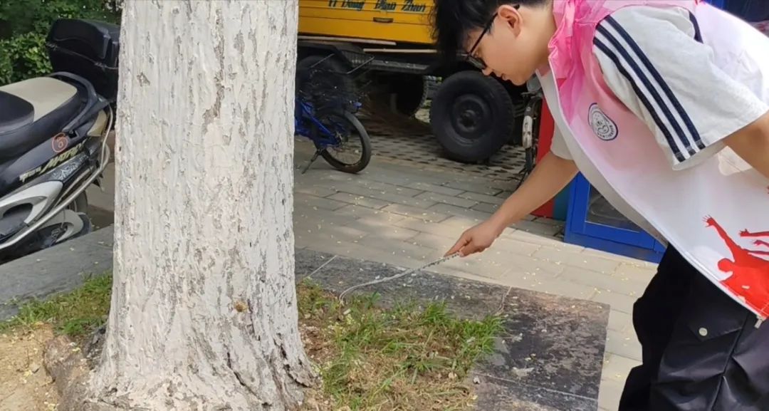 暑期社會活動實踐（一）：躬身實踐護水利，青春志愿綻芳華