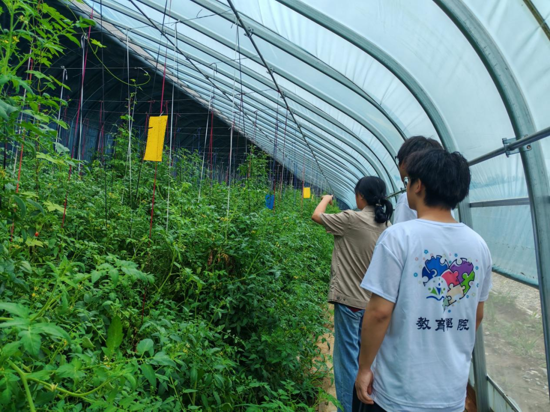 暑期社會活動實踐（二）：保定市滿城漕河沐陽農業生態園授牌活動