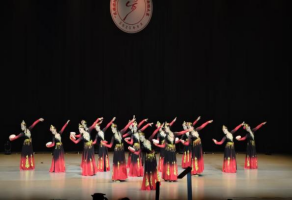 保定理工學院舞蹈校隊在“民族團結杯”河北省第三屆高校舞蹈大賽中斬獲佳績