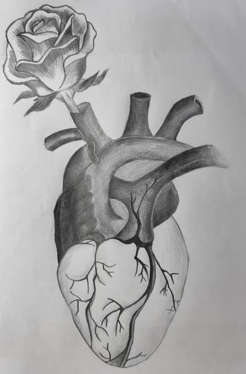 多維賦能學生成長，實踐育人彰顯成效