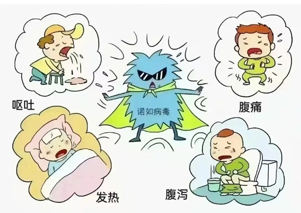 疾病防控|保定理工學院|管理學院|諾如病毒進入高發期，這份防護指南請收好！